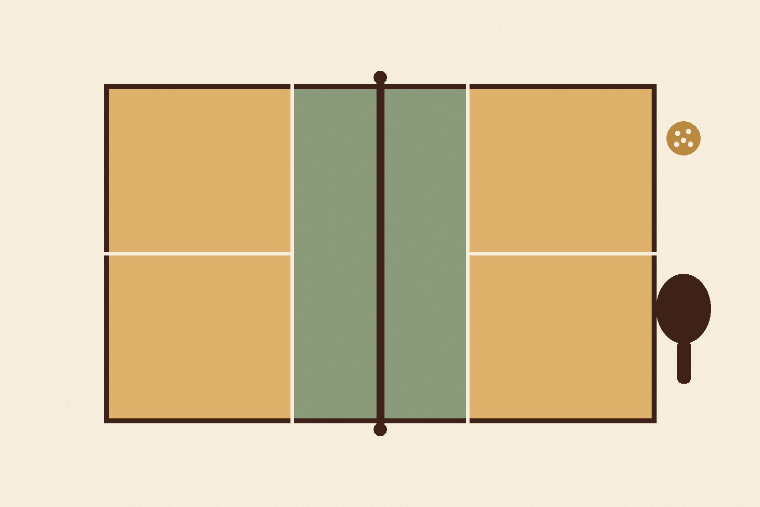 Introduction to Pickleball illustration